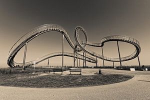 Tiger and Turtle in Duisburg (7-10366) B+W