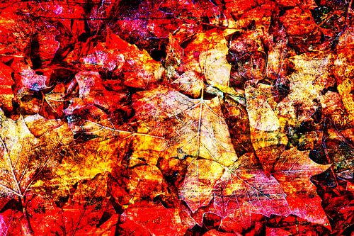 Feuilles d'automne