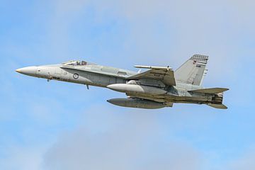 McDonnell Douglas F/A-18A Hornet van de Australische luchtmacht. van Jaap van den Berg