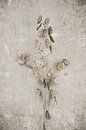 Dry flowers by Melanie Schat thumbnail