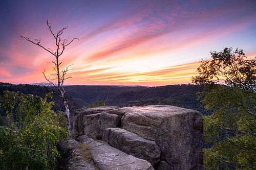View over the Bode valley