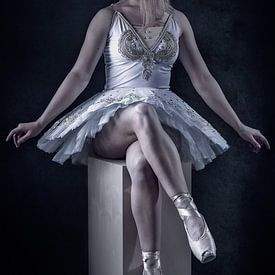 Elegante Ballerina von Bram van Dal