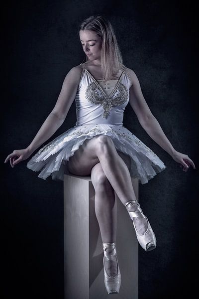 Stylish ballerina by Bram van Dal