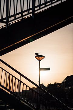 Stadscontouren met tegenlicht van Joep Gräber