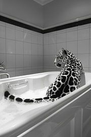 Elegant jaguar in the bathroom - an exotic bathroom picture for your WC by Poster Art Shop