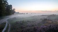 Mist over de heide van de Leuvenumse Bossen von Maurice Verschuur Miniaturansicht