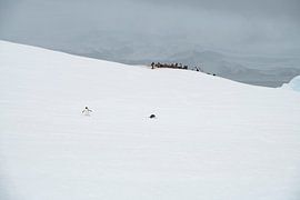 Pinguine in der Weite der Antarktis von Nanda Bussers