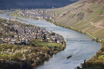 Valley of the Moselle near Bernkastel-Kues by Reiner Conrad