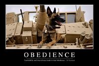 STK107150M-Obedience: Inspirerende en motiverende poster