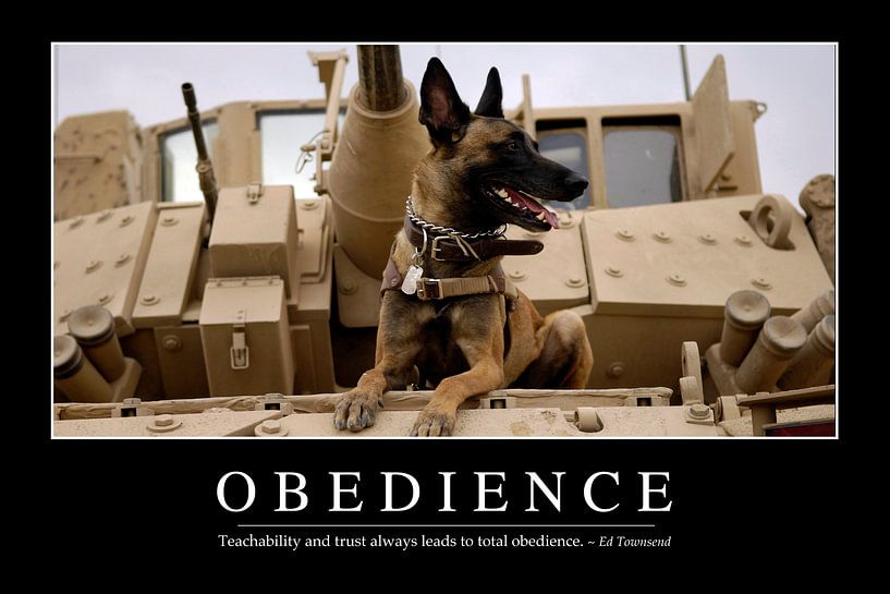 STK107150M-Obedience: Inspirierendes Zitat und Motivationsposter von Stocktrek Images