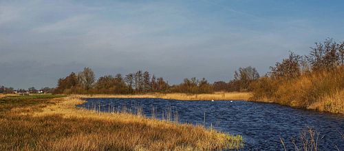 Landschap