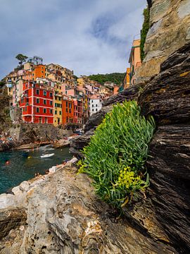 Riomaggiore rotsperspectief van Thijs Friederich