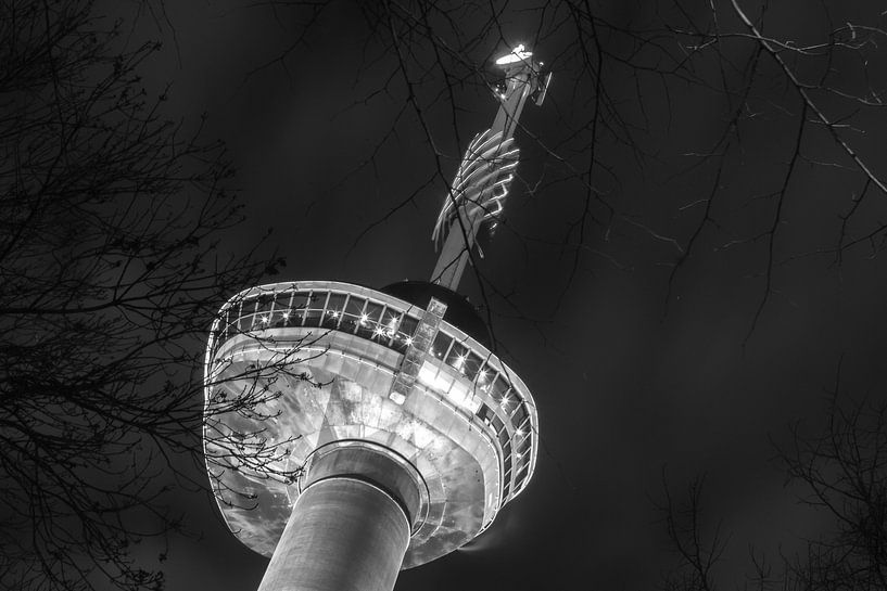 Euromast by Armando de Sousa