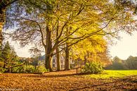 Autumn 2020 by N-Joy Pictures thumbnail