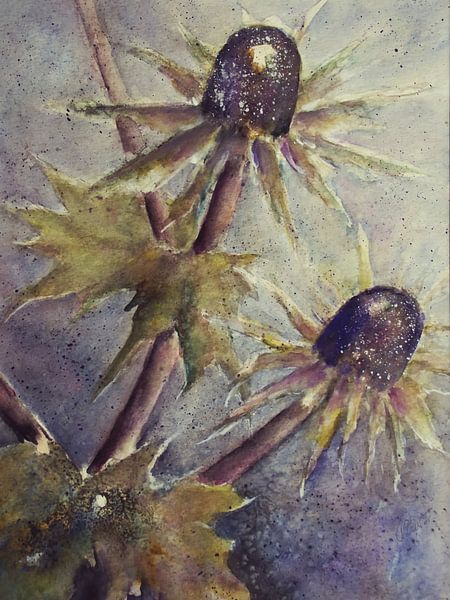 Distel von Christine Nöhmeier