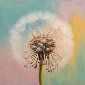 Paardenbloem in pastel