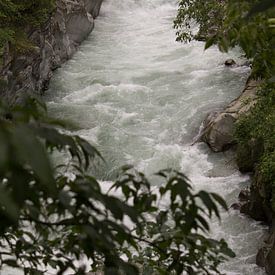 de wilde rivier van Heike Klein