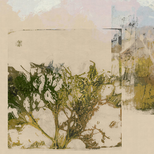 Wabi Sabi Botanical Abstract by Dina Dankers