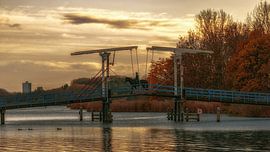 Rottemeren, green outdoor paradise near Rotterdam