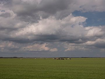 Koeien in de polder van Eemnes met dreigende wolkenlucht van Robin Jongerden