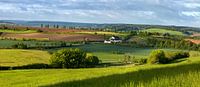 Tuscan Limburg, Niederlande von Adelheid Smitt Miniaturansicht