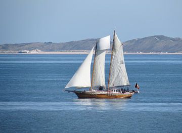 Zeilschip voor de kust van Pieter Korstanje