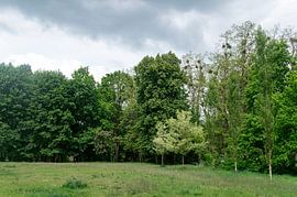 Stettin von Richard Wareham