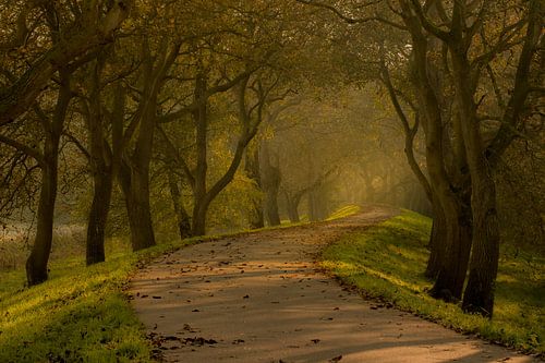Notendijk Landgoed Heerlijkheid Marienwaerdt