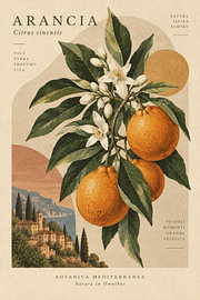 Fleur d'oranger méditerranéenne