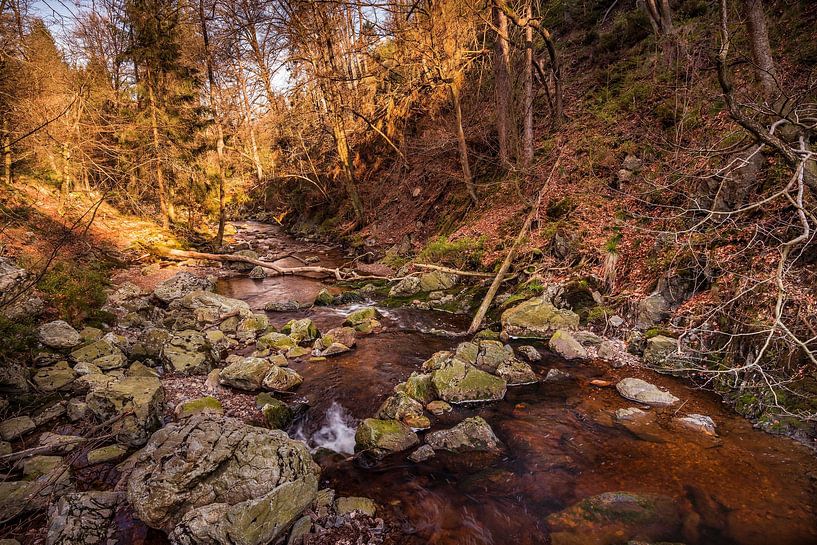 Mountain river La Hoëgne in the Belgian Ardennes by Rob Boon