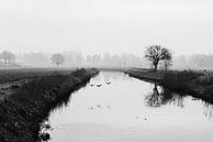 Mistige ochtend aan het water van Elke Verbruggen thumbnail