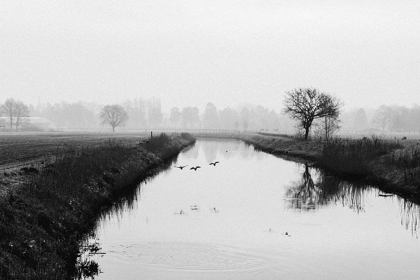 Mistige ochtend aan het water van Elke Verbruggen