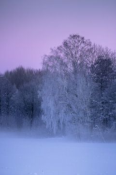 Zweedse winter van Remco van Adrichem