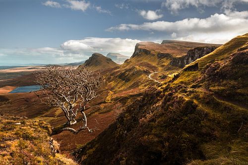 Rots van Quiraing, schiereiland Trotternish, eiland Skye
