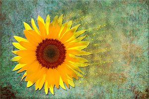 Zonnebloem ART 2.0
