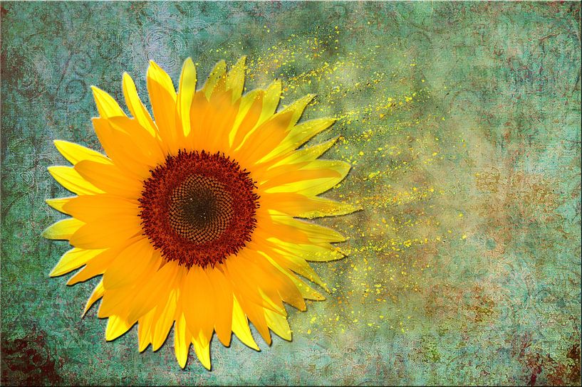 Zonnebloem ART 2.0 van Ingo Laue
