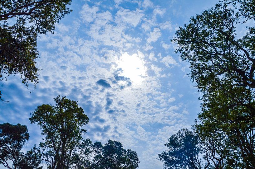 Lente in de lucht! par E. Blaauwwiekel