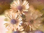 Soft Touch by Eduard Lamping thumbnail