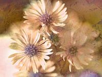 Soft Touch
