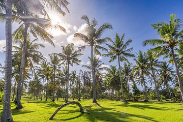 Palmen im Paradies Bali von Danny Bastiaanse