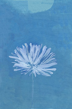 Fleur de la Lune bleue