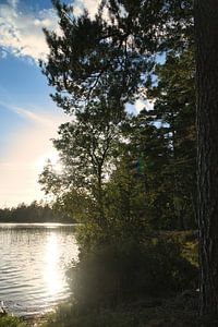 Sonnenuntergang am See in Schweden