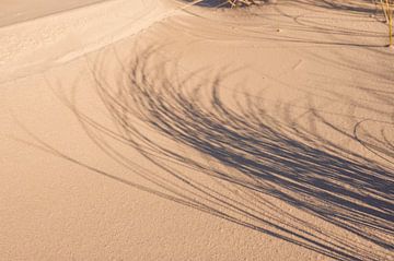 Ombres de l'herbe des dunes sur la plage de l'île de Schiermonnikoog, en Suède. sur Sjoerd van der Wal Photographie