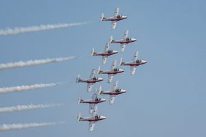 Snowbirds der kanadischen Streitkräfte.
