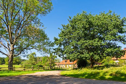 Haus mit Straße und Bäumen auf der Insel Kampenwerder im Schaa von Rico Ködder