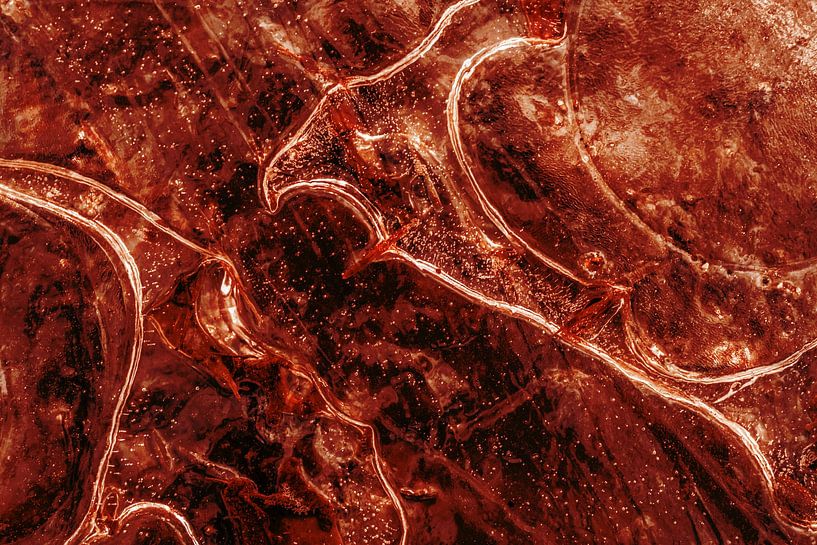 Abstract from Nature 2 by Fred Schuch