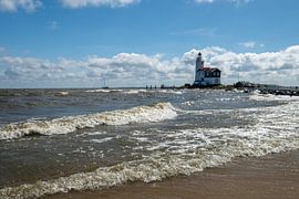 Horse of Marken by Peter Bartelings