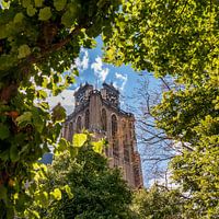 Vue sur Grote ou Onze-Lieve-Vrouwenkerk, Dordrecht.