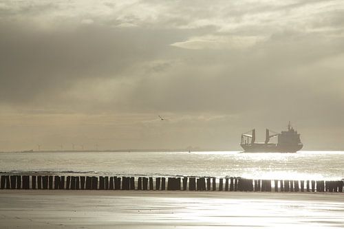 Schip op de monding van de Westerschelde