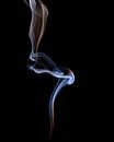 Rook 7 van Silvia Creemers thumbnail